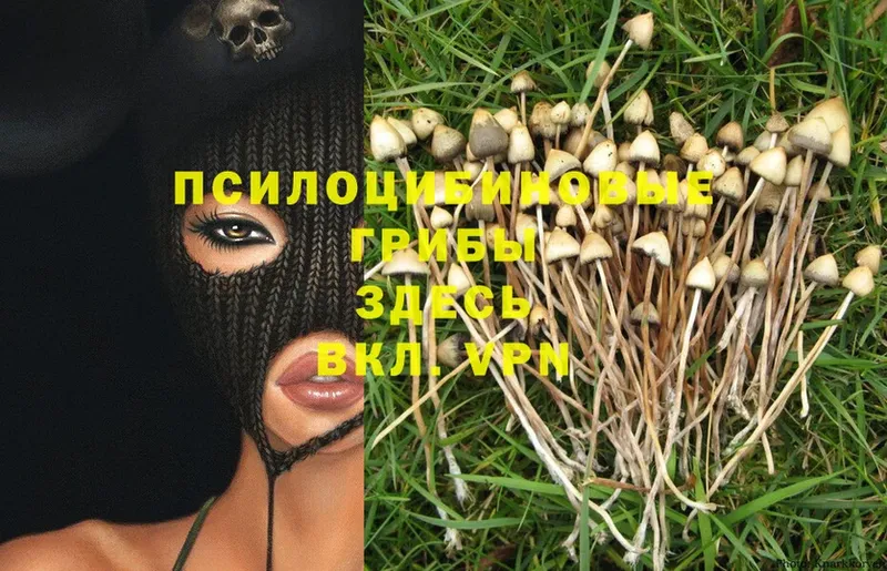 Псилоцибиновые грибы Magic Shrooms  что такое наркотик  Сертолово 